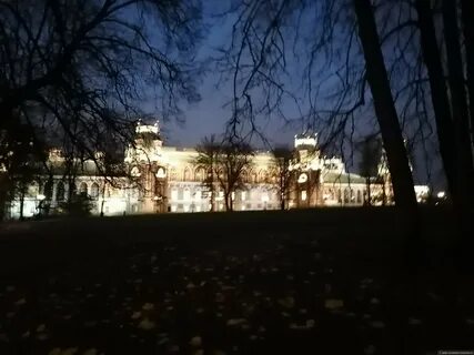 1 дольская москва музей царицыно