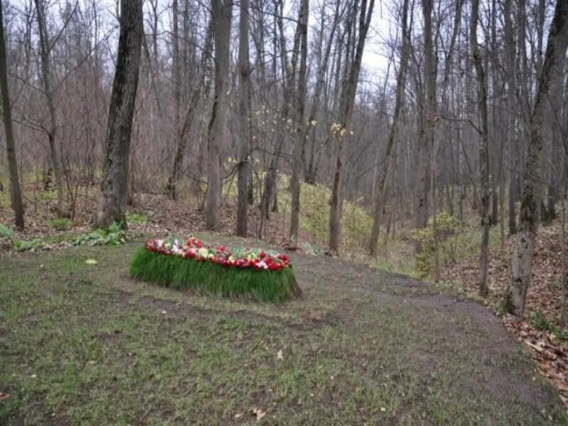 Лев толстой где похоронили. Ясная Поляна могила Толстого. Ясная Поляна могила л.н.Толстого. Ясная Поляна могила Льва Толстого. Ясная Поляна Тула могила Толстого.