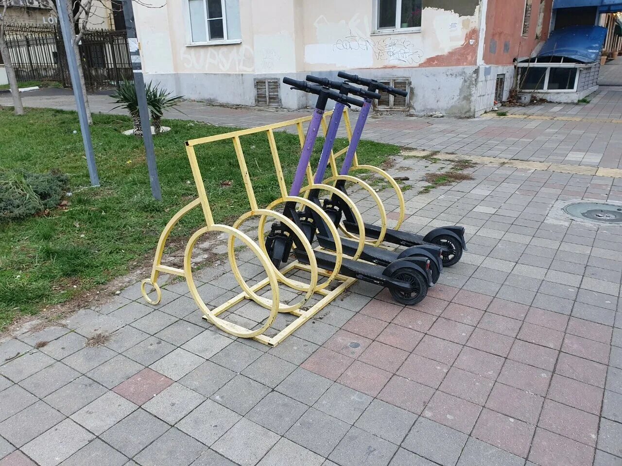 Scooter sk 065. Самокаты новороссийск. Прокатный самокат надыбы. Самокат астек corsa. Арендованные самокаты.