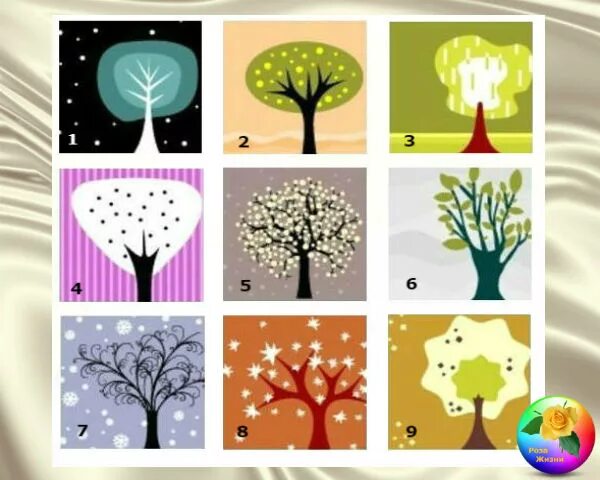 Тест выбери дерево. Энергетический тест деревья. Тест 2 дерева. Психологический тест дерево. Тест выбери дерево.
