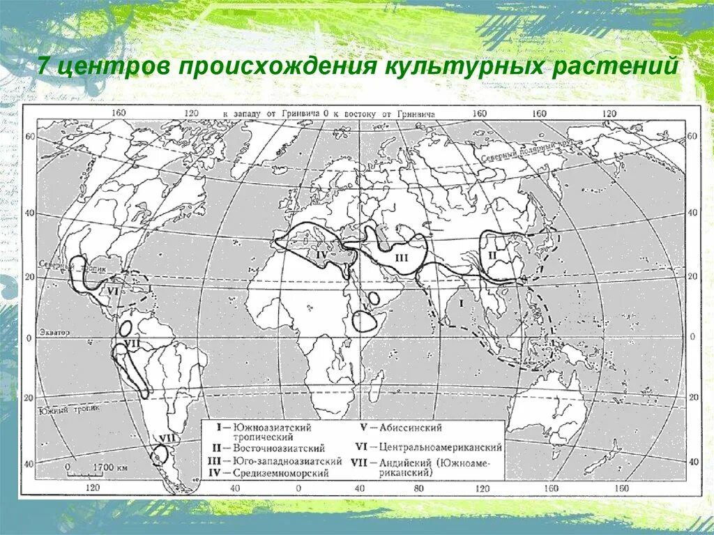 Центры происхождения культурных растений. Центры происхождения культурных растений карта. Центры происхождения культурных растений по Вавилову карта. Восточноазиатский центр происхождения культурных растений на карте. Сколько центров происхождения культурных