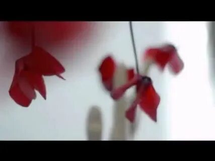 Petal clip huawei