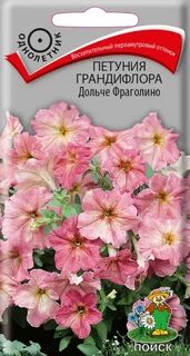 Петуния дольче