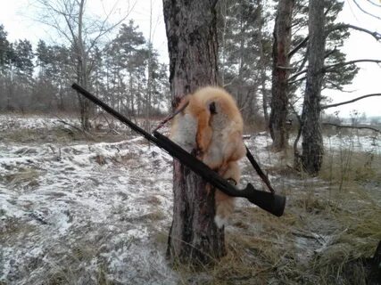 Понять охотника