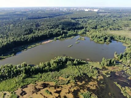 Лосиный остров королев