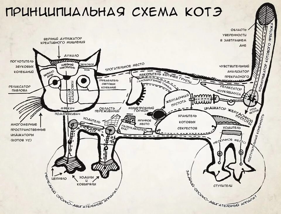 Чат нашего сообщества 