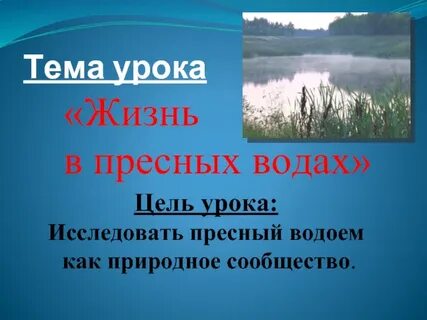 Что образуют живые организмы пресных вод