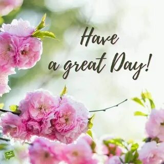 A have day grade