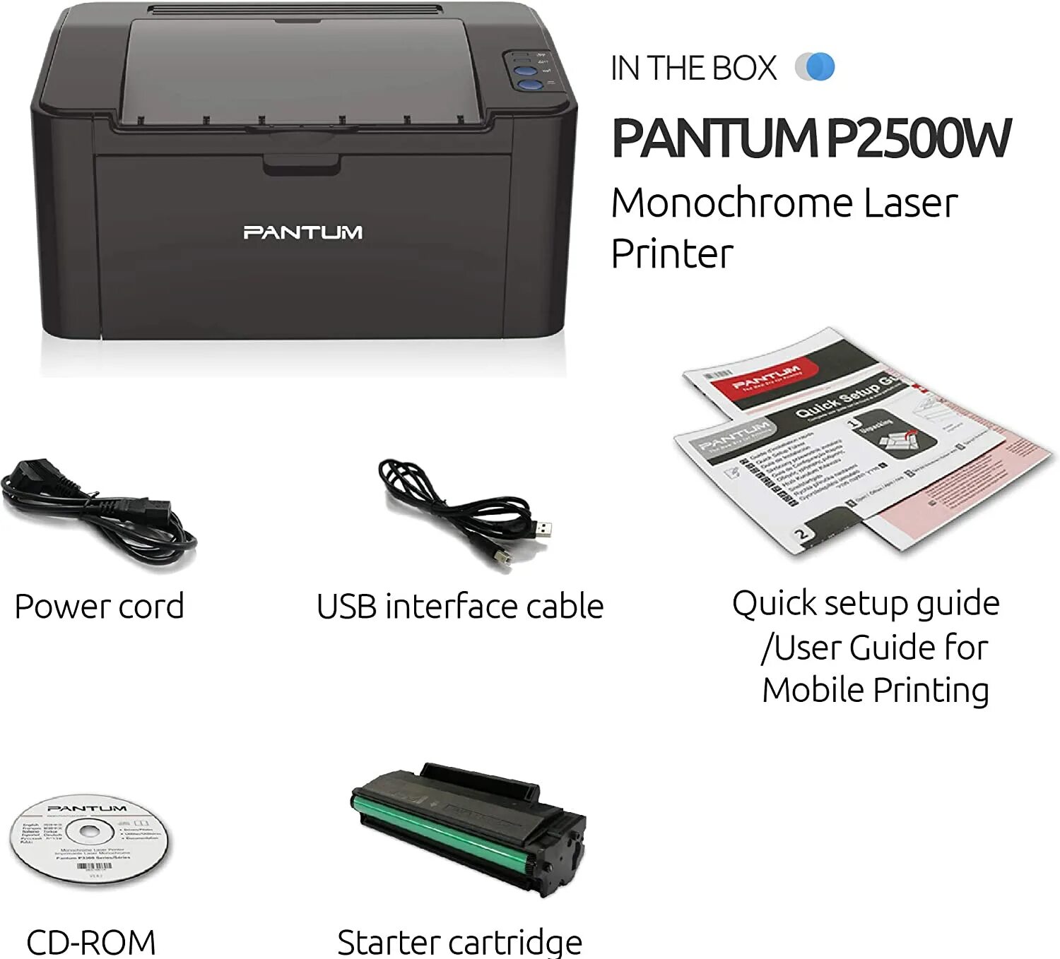 Pantum p2500. Принтер Пантум p2500w. Пантум 6550nw. P2500w. Купить принтер pantum p2500w