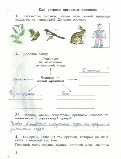Р т стр 3 4