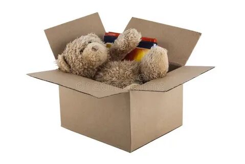 The teddy bear is the box