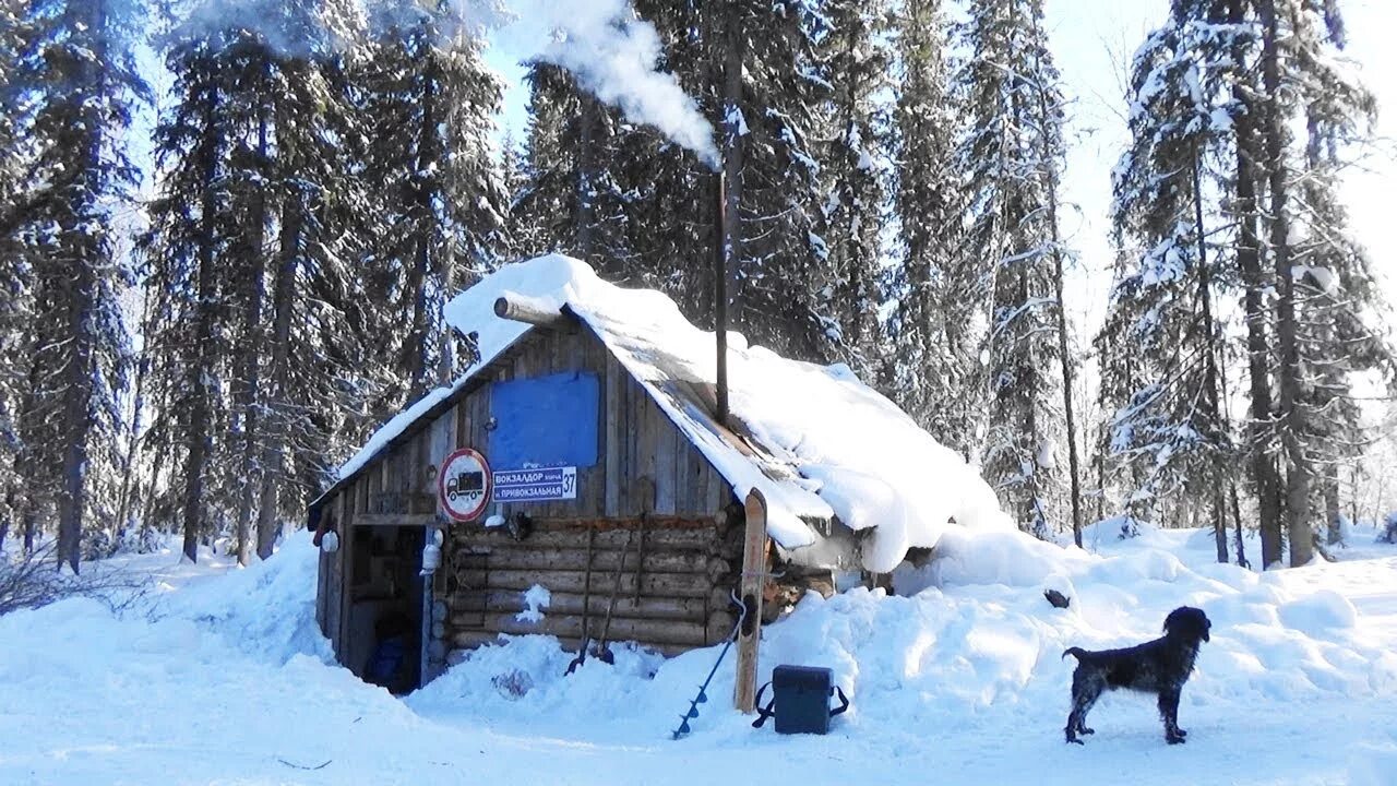 4 дня в тайге. Охотничья изба в тайге. Тайга изба охота и рыбалка. Заимка охотника в тайге.