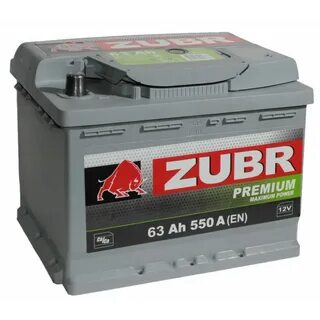Zubr zubr r
