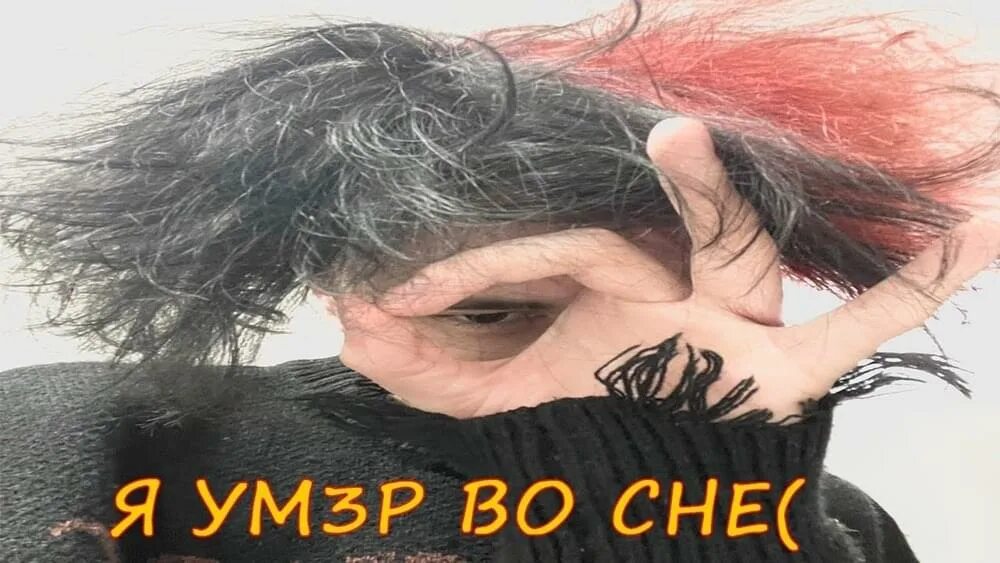 Курседа zxcursed. Курсед прическа. zxcursed волосы. курсед zxcursed. причёска курседа zxcursed.