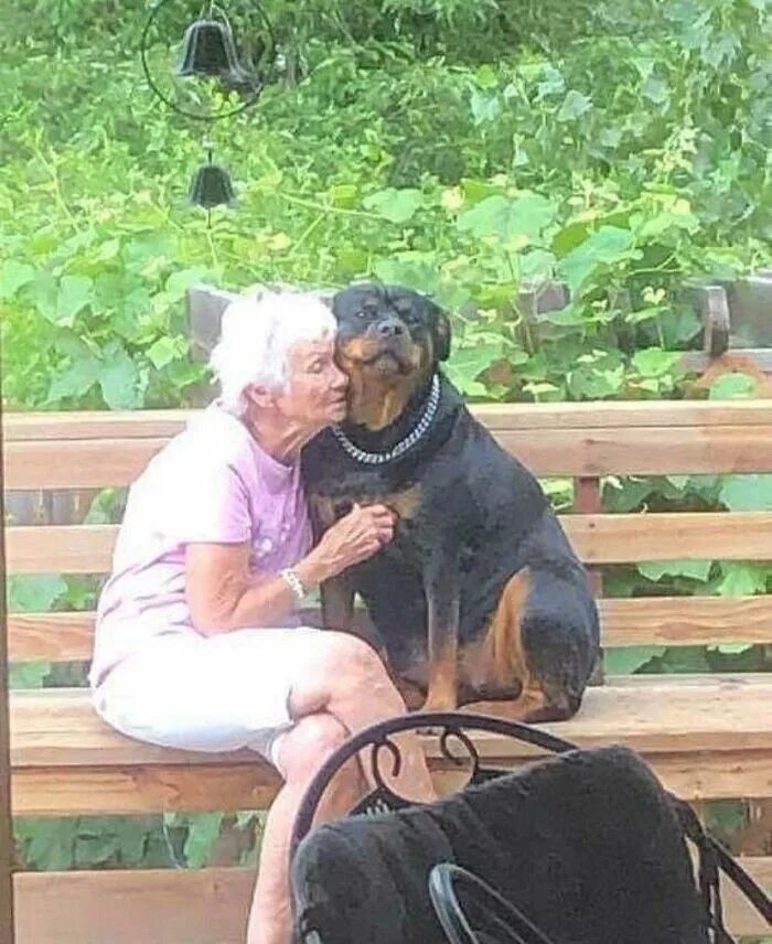 Бабушка с собакой. Старушка с собачкой. Старушка с собакой. Бабуля с собакой.