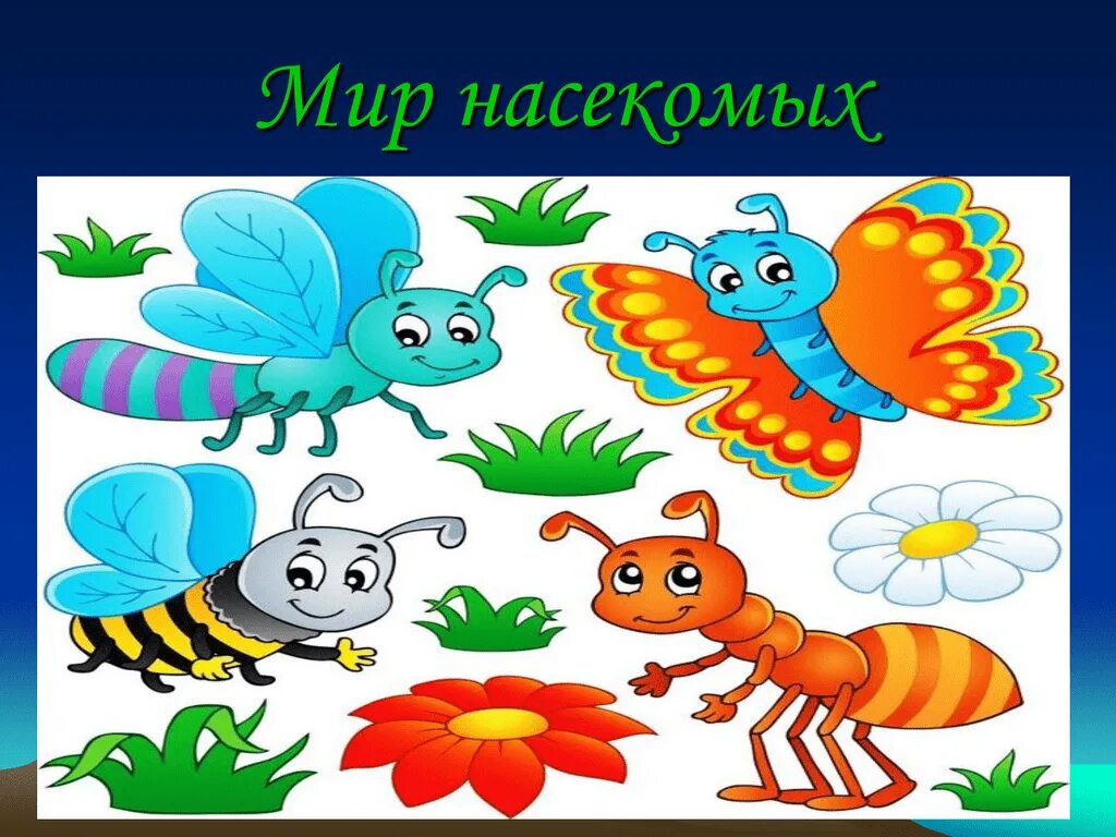 Насекомые для дошкольников. Детям о насекомых в детском саду. Насекомые картинки. Картинки насекомых для детского сада. День насекомых в детском саду.