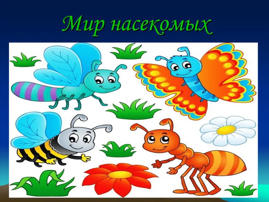 Насекомые для дошкольников. Насекомые рисунок. Иллюстрации насекомых для детского сада. Насекомые для детей ДОУ. Тематическая неделя насекомые