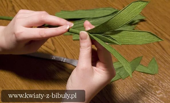 Длинные вытянутые листья. Цветы трафарет для вырезания. Листочки из бумаги. Как сделать длинный лист. Лист вытянутый.