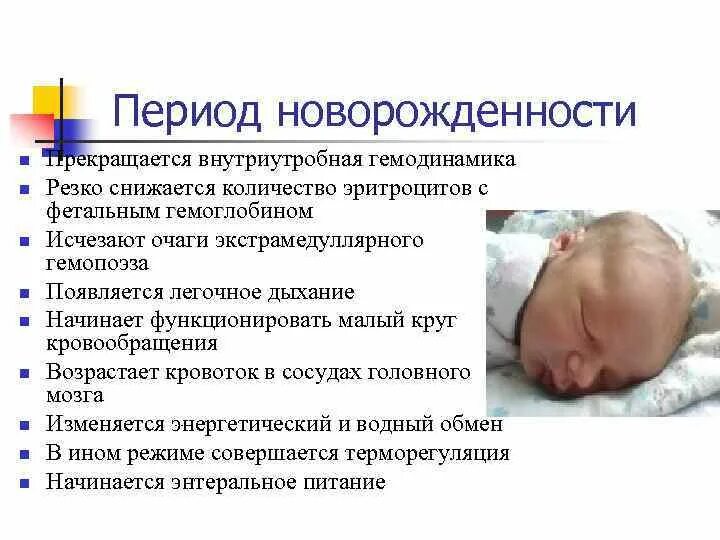 Период новорожденности и грудной период. Патология периода новорожденности. Период новорожденности. Факторы формирование здоровье детей. Постнатальный период новорожденности.