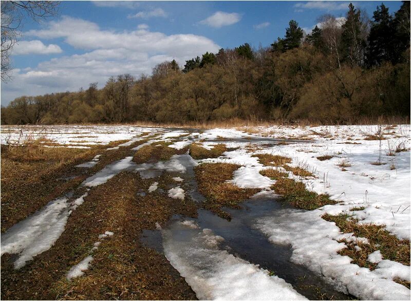 Видны проталины. Весенние ручьи. Черные проталины. Проталины на земле. Таяние снега в поле.
