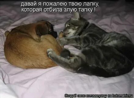 Пишется жалеть или жалеть
