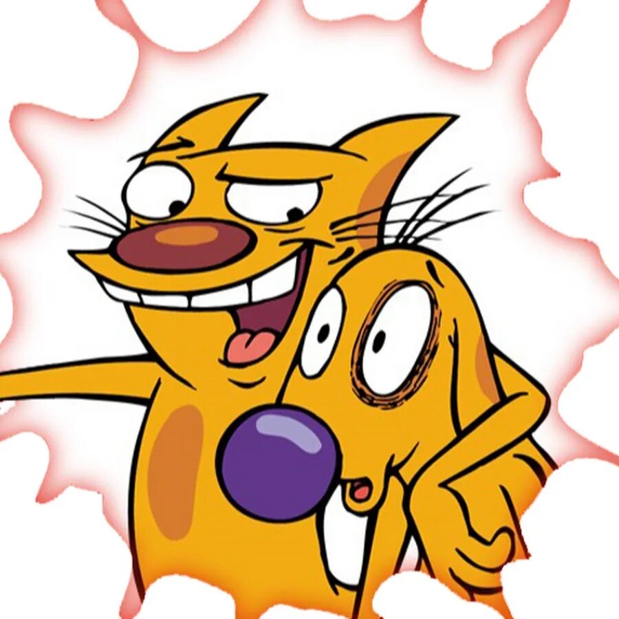 Catdog usdt. Котопёс в реальности. Картинки котопса. Котопес. Catdog usdt.