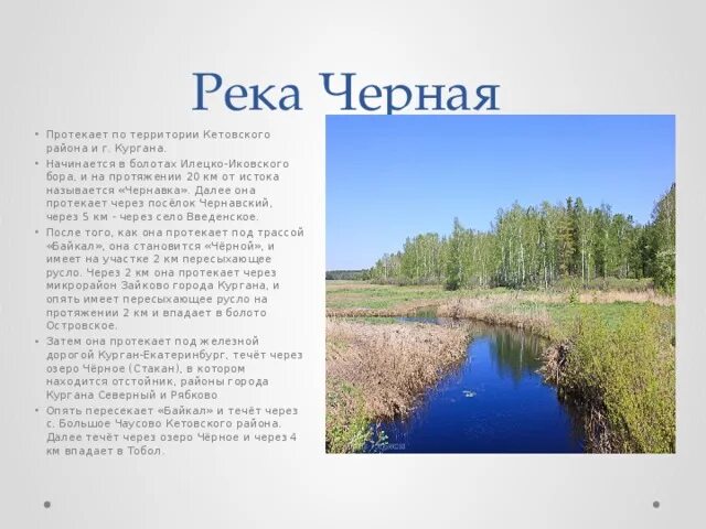 Рассказ через реку. Курганская область реки Курганской области. Реки Курганской области 4 класс. По территории которого протекает река. Реки Курганской области описание.