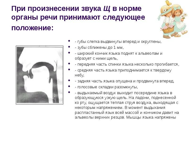 Положение о языке школы. Положение языка при звуке л. профиль артикуляции звука щ. артикуляция звука щ.