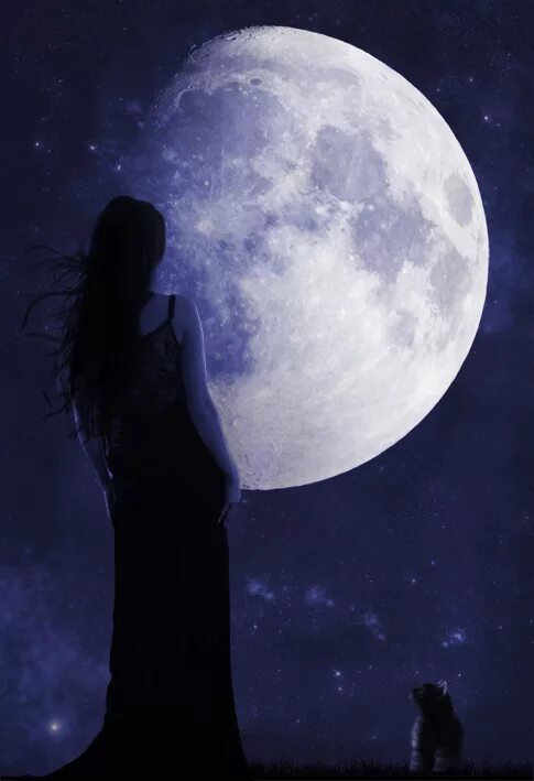 Девушка-Луна. Девушка под лунным светом. Ночь Луна девушка.