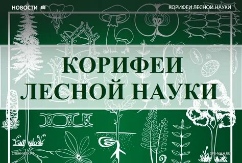 Чаща науки