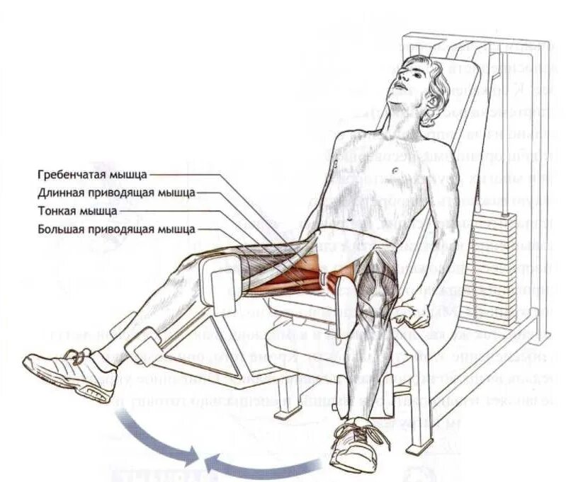 Отведение ног в тренажере сидя схема. Сведение и разведение ног в тренажере какие мышцы работают. Сведение ног в тренажере сидя какие мышцы работают. Тренажёр для сведения и разведения ног сидя схема. Лк мышца
