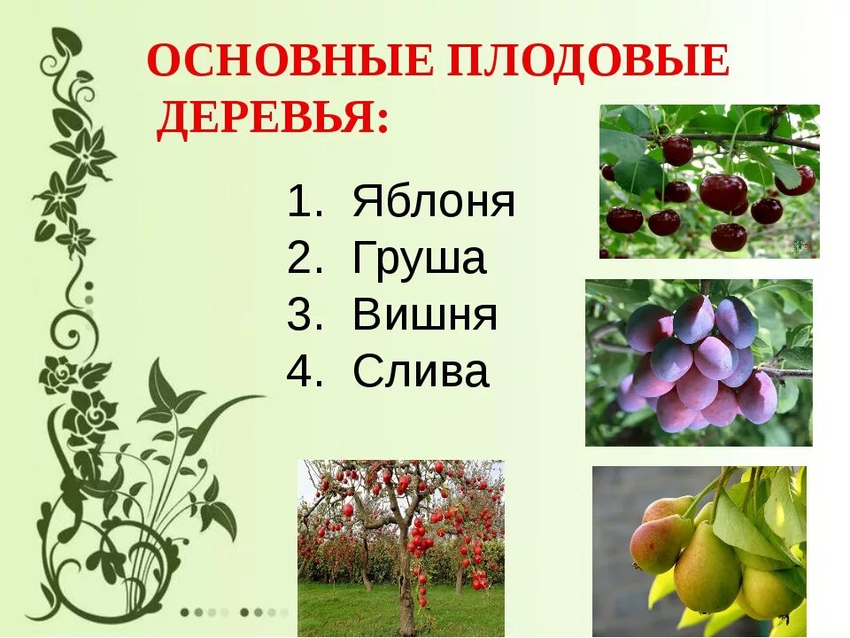 Корень в слове вишня и вишневый