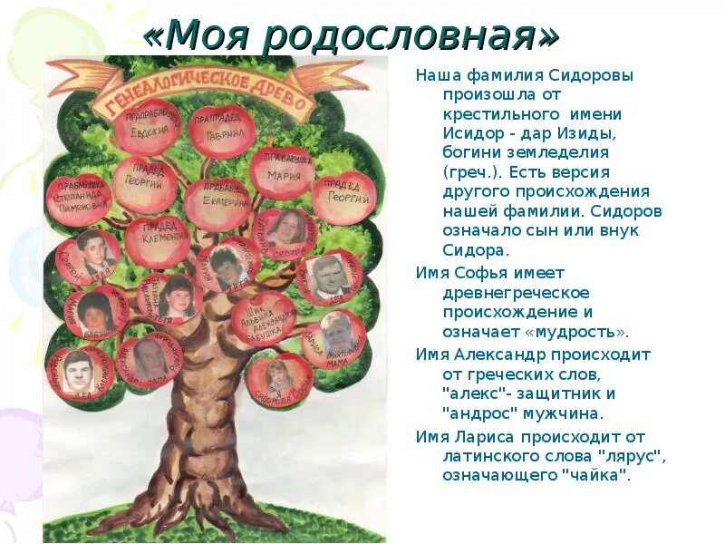 Кубановедение 2 класс семья. Проект по кубановедению моя родословная фамилия. Проект по кубановедению генеалогическое Древо. Генеалогическое Древо семьи кубановедение 3. Кубановедение генеалогическое Древо моей семьи.