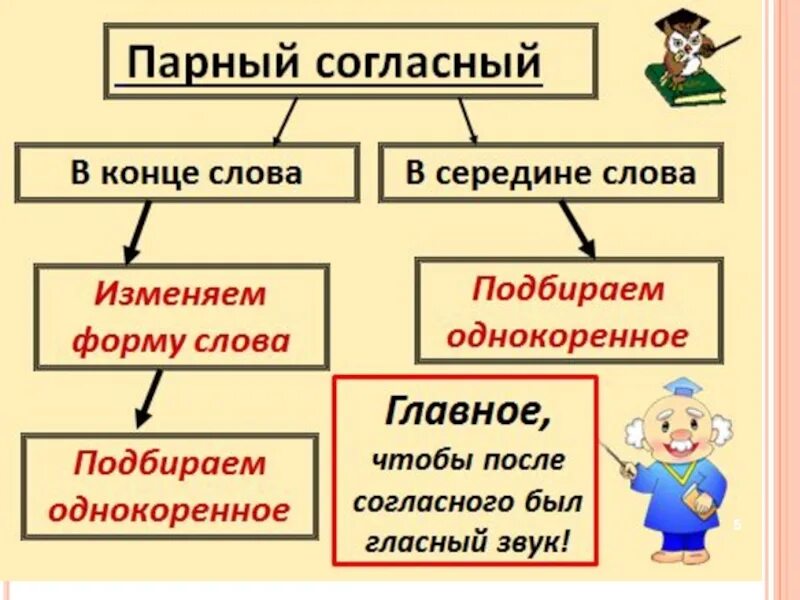 Слова на правила парные согласные. Правило проверки парной согласной 2 класс. Правило парные согласные 2 класс школа России. Правило проверки парного согласного в корне для начальной школы. Правило проверки парных согласных 2 класс.