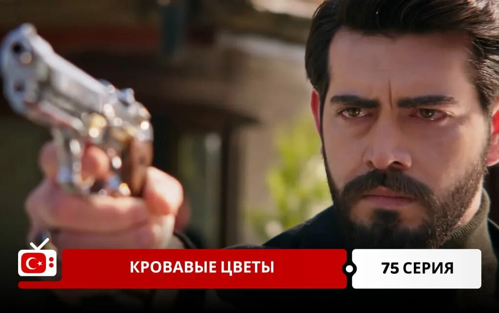 Кровавые цветы турецкий 75. Кровавые цветы турецкий. Кровавые цветы турецкий 75. Кровавые цветы турецкий 75. Кровавые цветы турецкий 75.