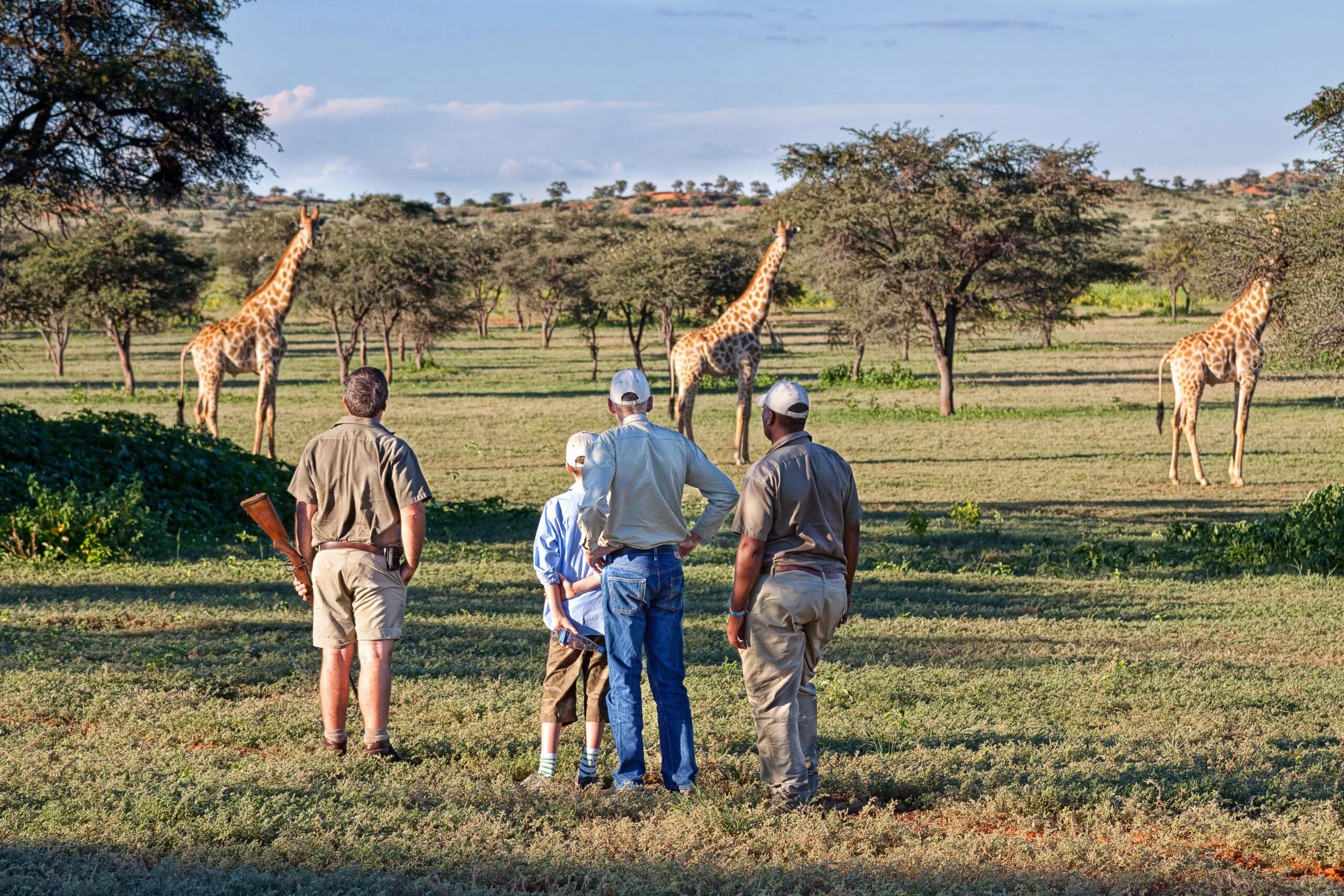 Trip africa. Сентрал Калахари туристы. Калахари сафари. Кейптаун сафари. Национальный парк Сентрал Калахари в Африке.