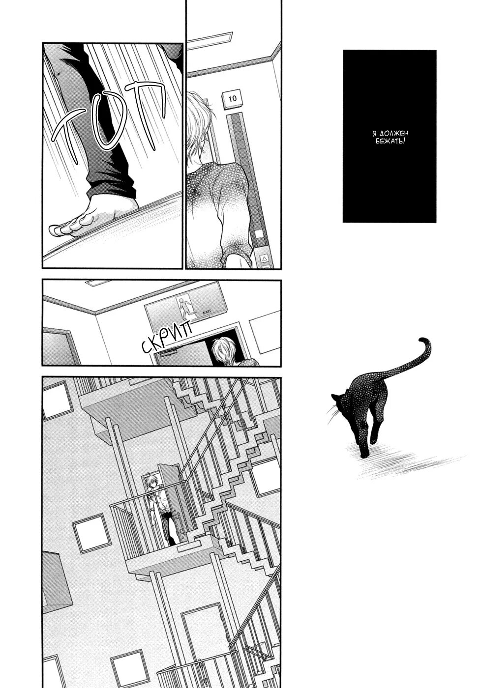 Манга rule. Кот манга. kuroneko манга. игры с чёрным котом манга. коты из манги.
