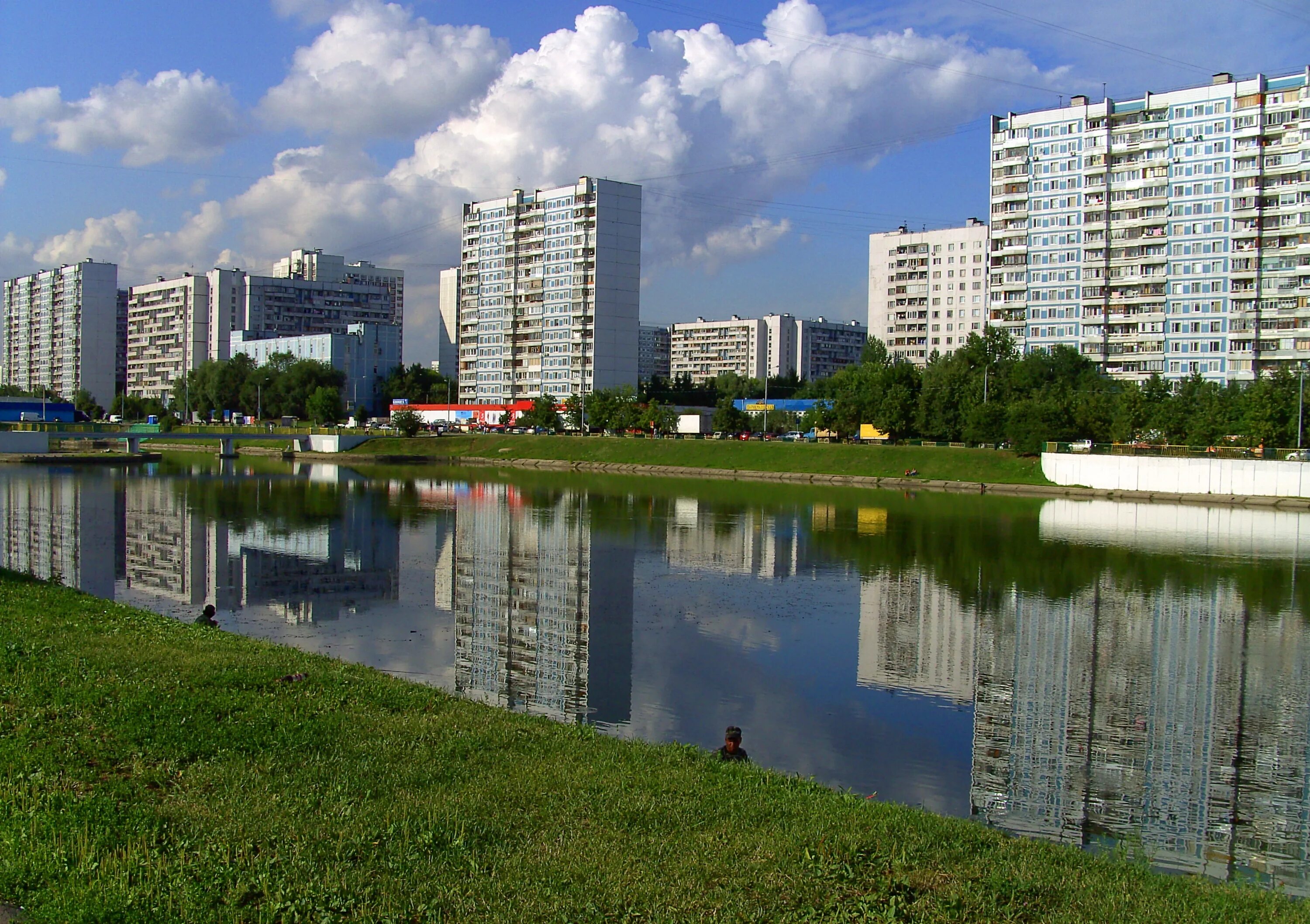 Братеевская улица Москва. Братеево (район Москвы). Братеево Борисовские пруды. Борисовские пруды лето.