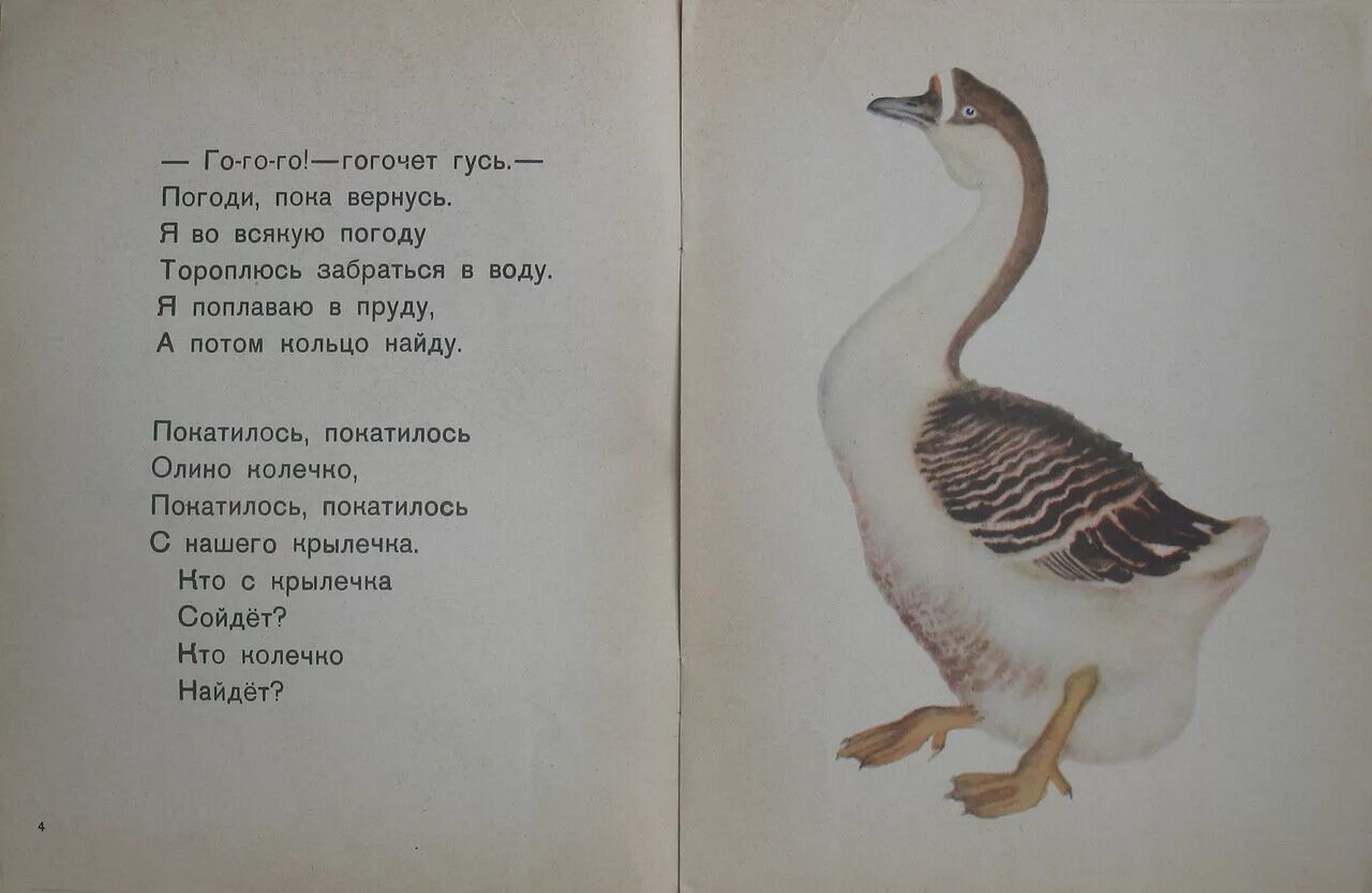 Кто гогочет из животных. Гуси гогочут. с. маршак кто колечко найдет?. творчество маршака олино колечко. гусь гогочет и гогочет с пальчиками.