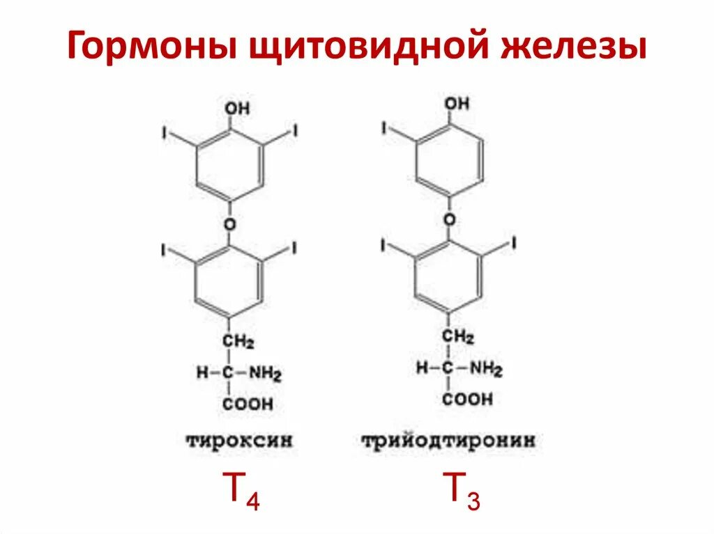 Строение гормонов щитовидной железы биохимия. Щитовидная железа химическая структура. Гормон т3 строение. Т3 и т4 гормоны формулы.