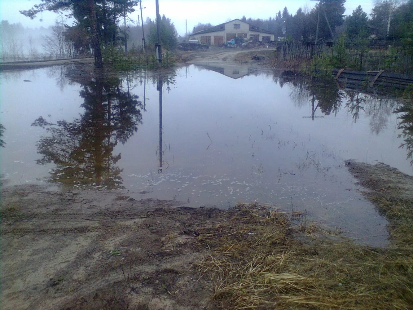 воробьевица вохомский район костромская область. воробьевица костромской. воробьевица вохомский район костромская. деревня воробьёвица костромская область. воробьевица костромская область.