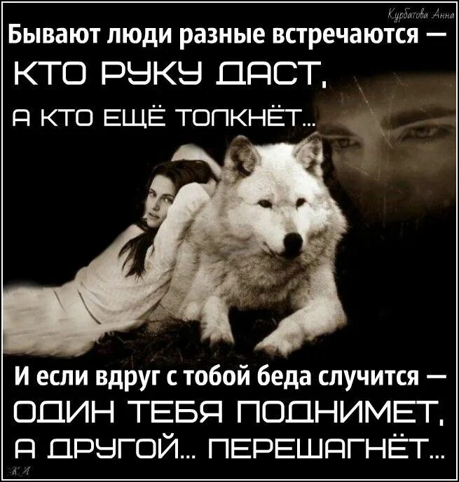 А волки гораздо людей. Цитаты про волков и людей. высказывания о жизни волка. высказывания о волках и людях. статусы про волков и людей.