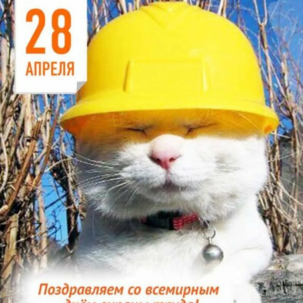 28 апреля какой праздник. День охраны труда. поздравление с днем охраны труда. всемирный день охраны труда. 28 апреля день охраны труда.