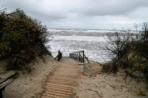 Вода балтийское море зеленоградск