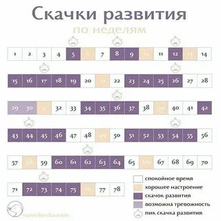 Скачок роста 26 неделя