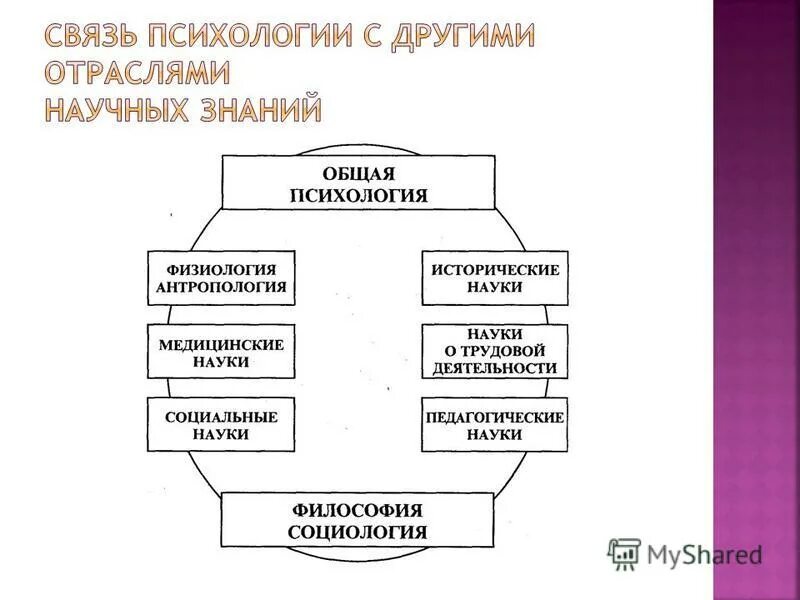 Психология в системе научных знаний. Психология в системе наук схема. Система психологических наук схема. Место психологии в системе наук. Место психологии в системе наук схема.