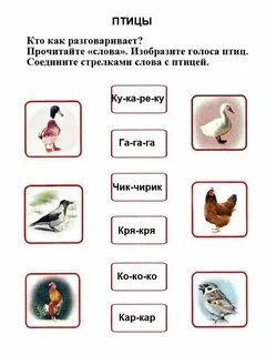 Найти птиц в тексте