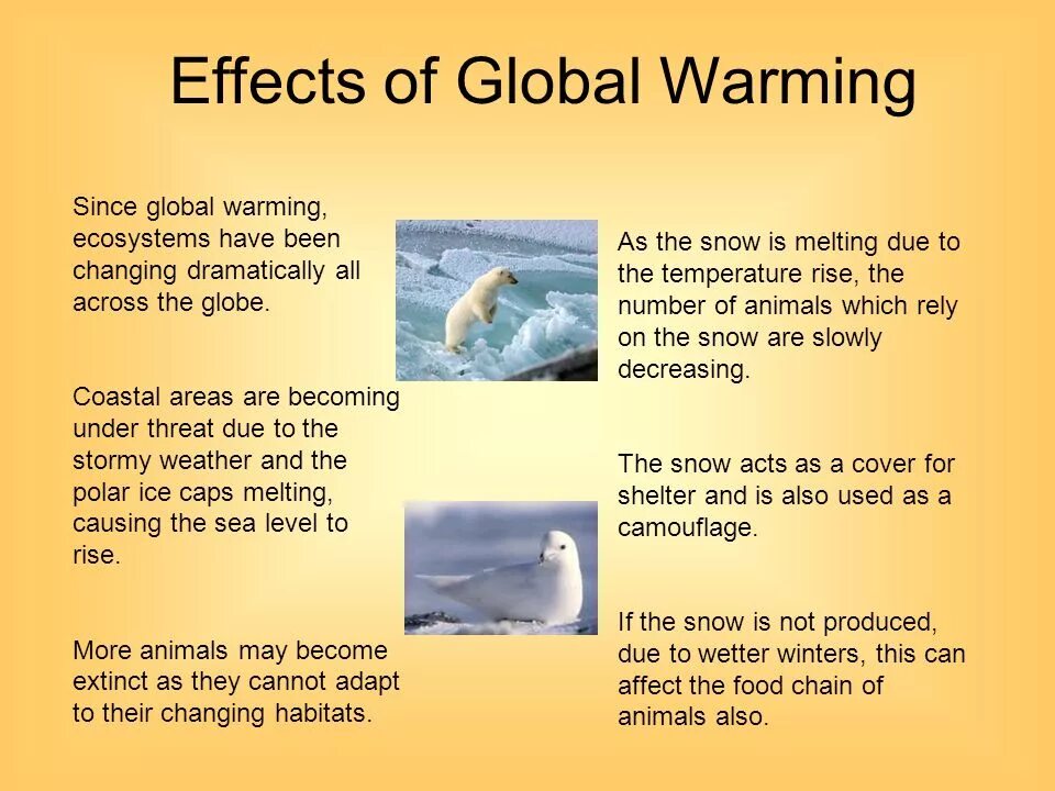 Global warming causes. Презентация глобальное потепление на английском языке. Reasons of Global warming. Effects of global warming