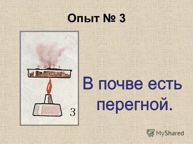 Опыт 3 жизнь. В почве есть перегной. опыт что есть в почве. перегной в почве опыт. опыт с перегноем.