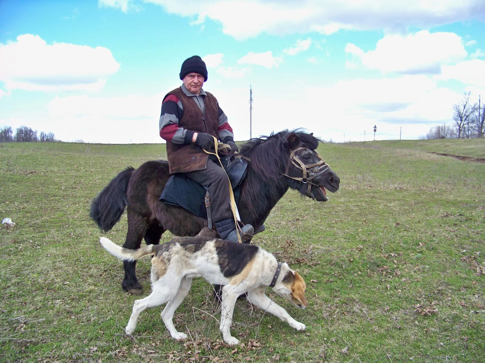 Hunt pony. Ездовой пони. Шетлендский пони под седлом. Охота на пони. Седло для собаки.